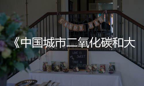 《中国城市二氧化碳和大气污染协同管理评估报告(2020)》发布