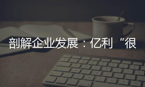 剖解企业发展:亿利“很土”
