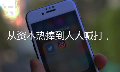 从资本热捧到人人喊打,植物肉到底做错了什么?
