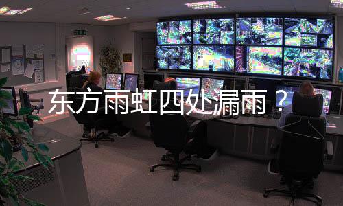 东方雨虹四处漏雨?