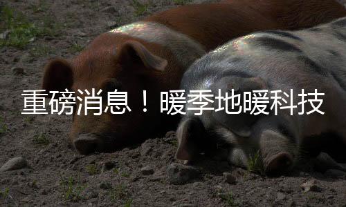 重磅消息!暖季地暖科技荣获《高新技术企业》荣誉证书